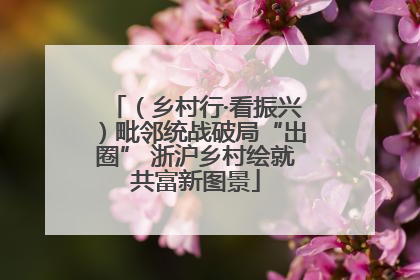 （乡村行·看振兴）毗邻统战破局“出圈” 浙沪乡村绘就共富新图景